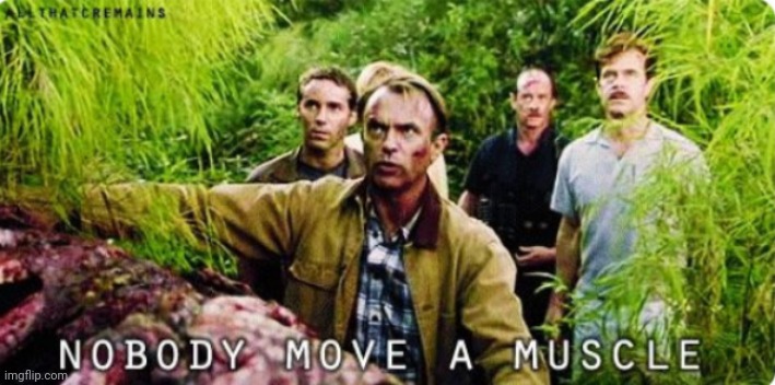 Nobody move a muscle | image tagged in nobody move a muscle | made w/ Imgflip meme maker