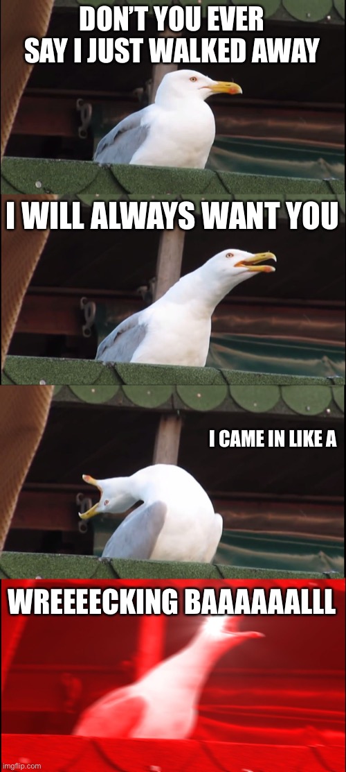 Wrecking Ball by Miley Cyrus | DON’T YOU EVER SAY I JUST WALKED AWAY; I WILL ALWAYS WANT YOU; I CAME IN LIKE A; WREEEECKING BAAAAAALLL | image tagged in memes,inhaling seagull,song lyrics | made w/ Imgflip meme maker