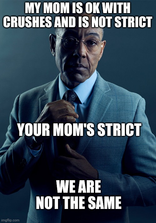 Am I the only one | MY MOM IS OK WITH CRUSHES AND IS NOT STRICT; YOUR MOM'S STRICT; WE ARE NOT THE SAME | image tagged in gus fring we are not the same | made w/ Imgflip meme maker