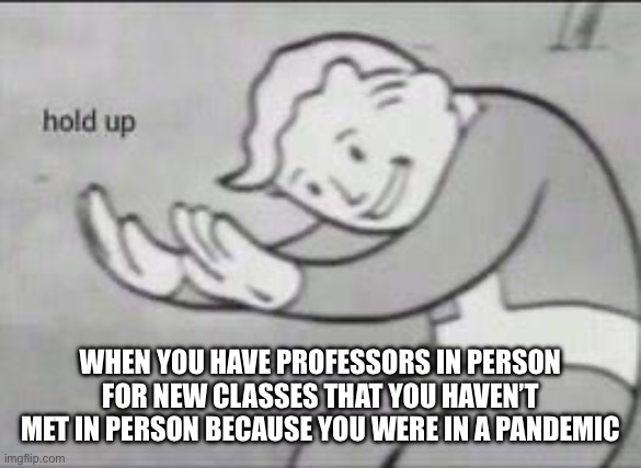 Fallout Hold Up | WHEN YOU HAVE PROFESSORS IN PERSON FOR NEW CLASSES THAT YOU HAVEN’T MET IN PERSON BECAUSE YOU WERE IN A PANDEMIC | image tagged in fallout hold up | made w/ Imgflip meme maker