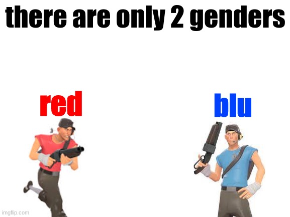 Blank White Template | there are only 2 genders; red; blu | image tagged in blank white template | made w/ Imgflip meme maker