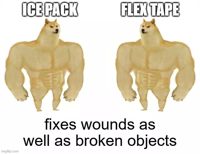 Buff Doge vs Buff Doge | ICE PACK FLEX TAPE fixes wounds as well as broken objects | image tagged in buff doge vs buff doge | made w/ Imgflip meme maker