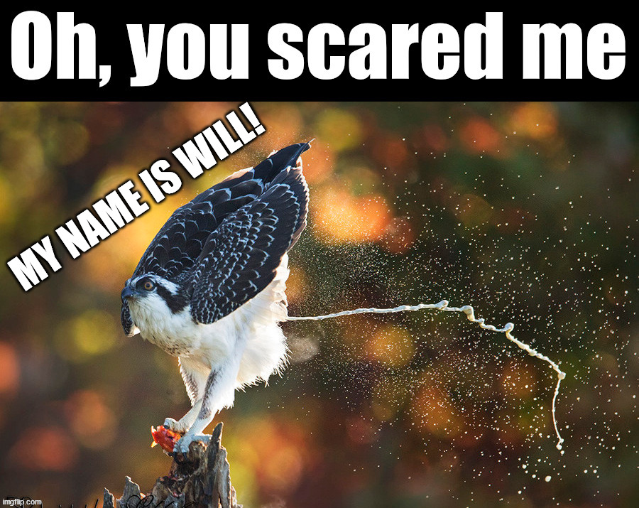 MY NAME IS WILL! | made w/ Imgflip meme maker