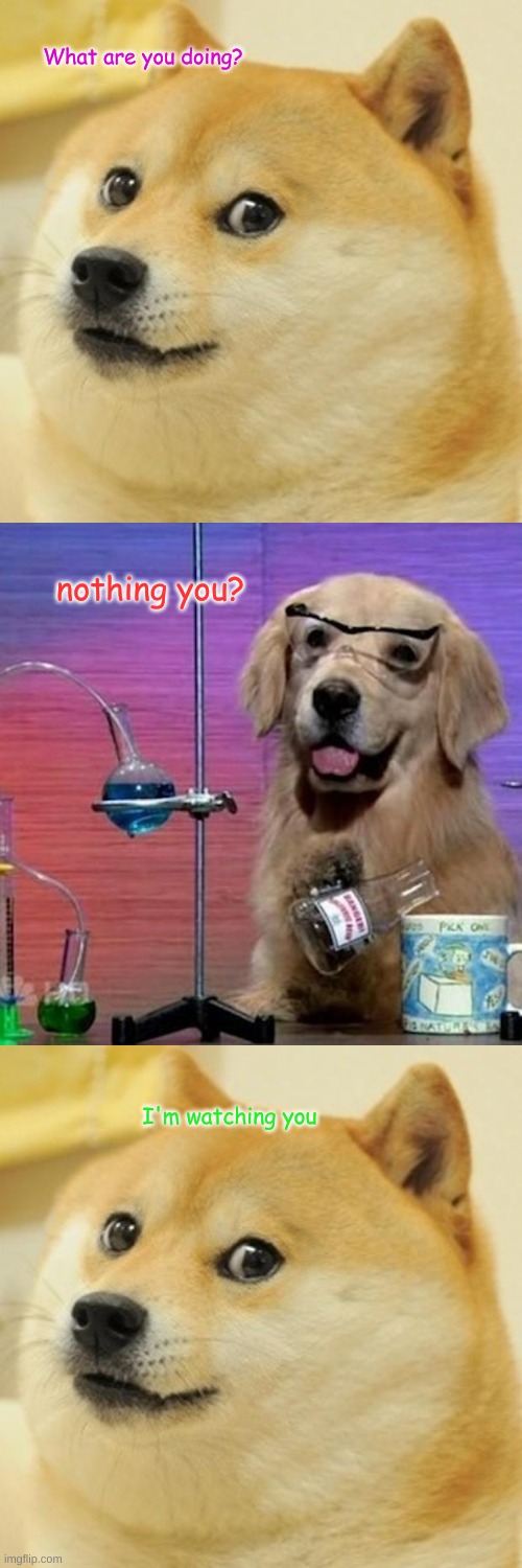 Mr. Nosey | What are you doing? nothing you? I'm watching you | image tagged in memes,doge,i have no idea what i am doing dog,funny memes,science,fun | made w/ Imgflip meme maker