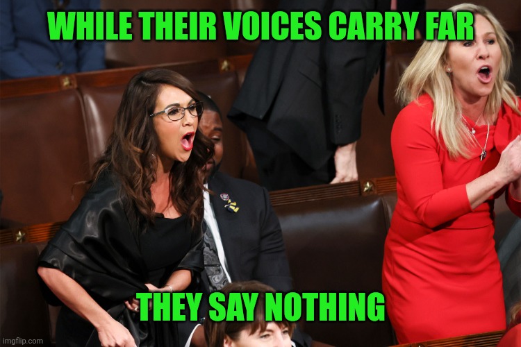 Republican Karens | WHILE THEIR VOICES CARRY FAR THEY SAY NOTHING | image tagged in republican karens | made w/ Imgflip meme maker