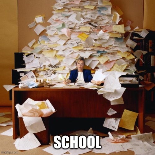 Busy | SCHOOL | image tagged in busy | made w/ Imgflip meme maker