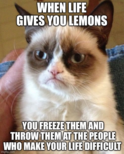 Grumpy Cat Meme | WHEN LIFE GIVES YOU LEMONS; YOU FREEZE THEM AND THROW THEM AT THE PEOPLE WHO MAKE YOUR LIFE DIFFICULT | image tagged in memes,grumpy cat | made w/ Imgflip meme maker