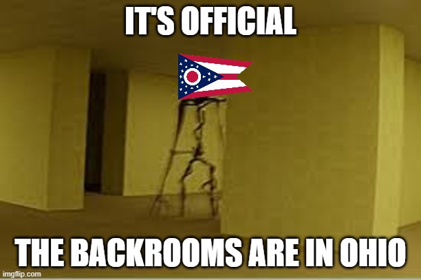 OH NO | IT'S OFFICIAL; THE BACKROOMS ARE IN OHIO | image tagged in backrooms entity | made w/ Imgflip meme maker