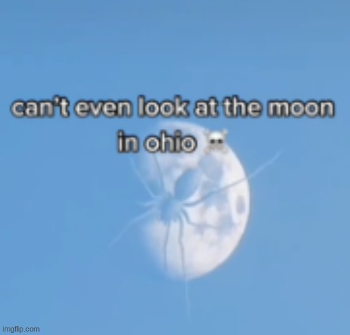 Only in Ohio | image tagged in rip,ohio,spider | made w/ Imgflip meme maker