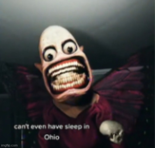 only in ohio | image tagged in bruh,ohio,sleep | made w/ Imgflip meme maker