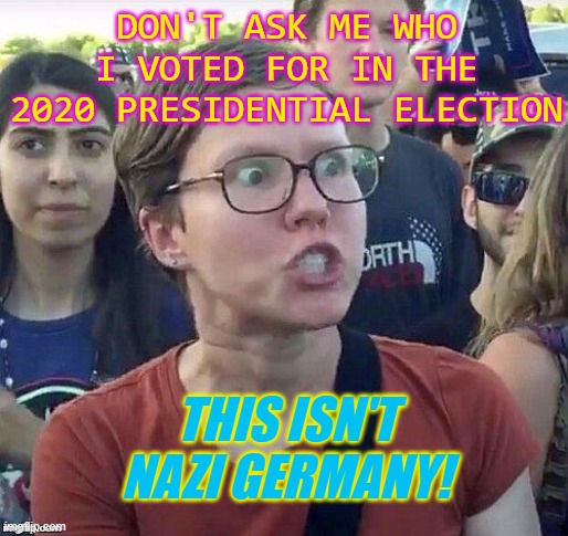 This isn’t Nazi Germany! | DON'T ASK ME WHO I VOTED FOR IN THE 2020 PRESIDENTIAL ELECTION; THIS ISN'T NAZI GERMANY! | image tagged in foggy | made w/ Imgflip meme maker