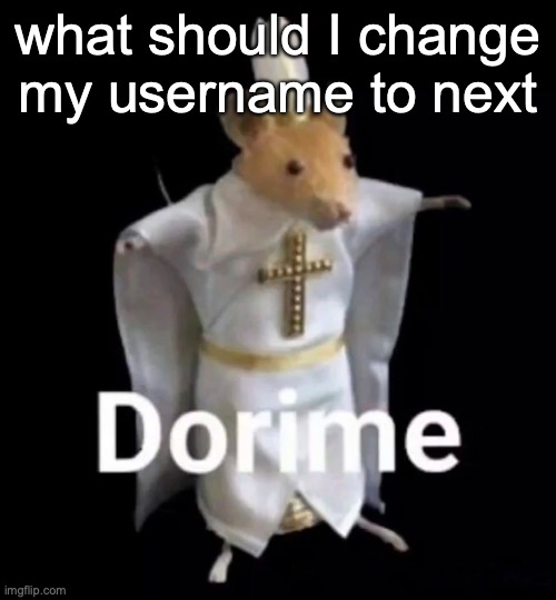 rato dorime | what should I change my username to next | image tagged in rato dorime | made w/ Imgflip meme maker