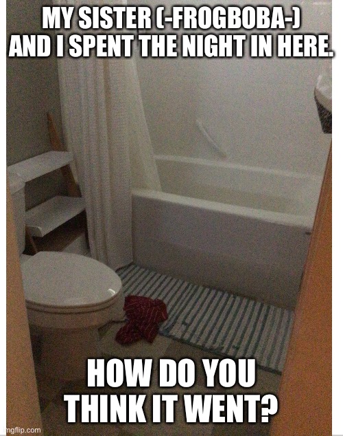 Guess | MY SISTER (-FROGBOBA-) AND I SPENT THE NIGHT IN HERE. HOW DO YOU THINK IT WENT? | image tagged in bathroom | made w/ Imgflip meme maker