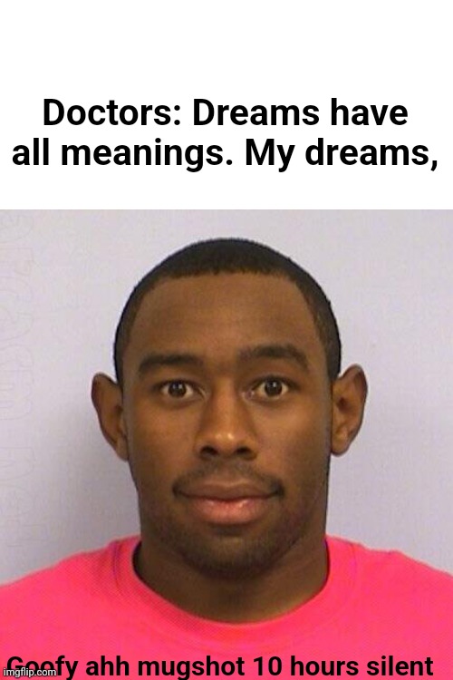 Dreams (not real) | Doctors: Dreams have all meanings. My dreams, Goofy ahh mugshot 10 hours silent | image tagged in memes | made w/ Imgflip meme maker