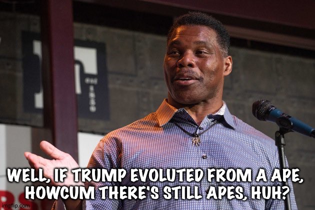 Herschel Walker | WELL, IF TRUMP EVOLUTED FROM A APE, 
HOWCUM THERE'S STILL APES, HUH? | image tagged in herschel walker | made w/ Imgflip meme maker