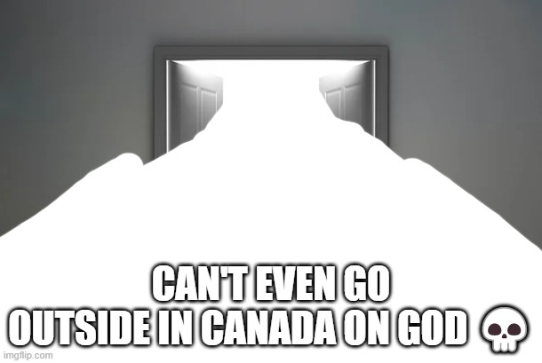cameraman took this photo .1 seconds after he opened the door | CAN'T EVEN GO OUTSIDE IN CANADA ON GOD 💀 | image tagged in snow | made w/ Imgflip meme maker