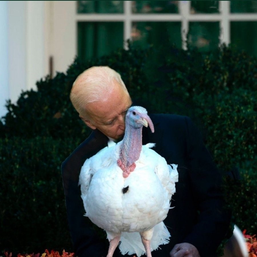 Biden Sniffing a Turkey Blank Meme Template