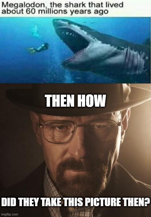 THEN HOW; DID THEY TAKE THIS PICTURE THEN? | image tagged in walter white | made w/ Imgflip meme maker