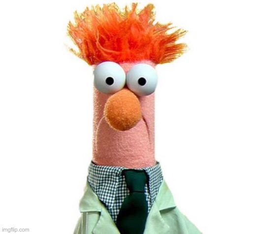 Beaker Muppets | image tagged in beaker muppets | made w/ Imgflip meme maker