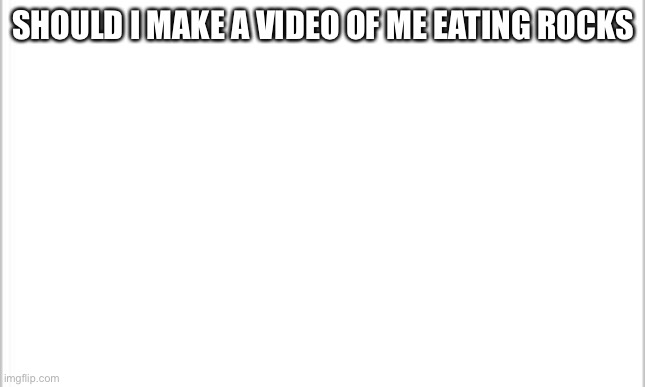 white background | SHOULD I MAKE A VIDEO OF ME EATING ROCKS | image tagged in white background | made w/ Imgflip meme maker