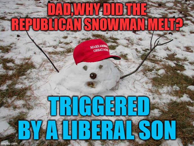 Melted Snowman | DAD,WHY DID THE REPUBLICAN SNOWMAN MELT? TRIGGERED BY A LIBERAL SON | image tagged in melted snowman | made w/ Imgflip meme maker