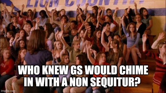 mean girls victimized | WHO KNEW GS WOULD CHIME IN WITH A NON SEQUITUR? | image tagged in mean girls victimized | made w/ Imgflip meme maker