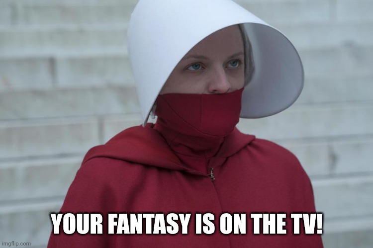 Hand Maid's Tale Roe | YOUR FANTASY IS ON THE TV! | image tagged in hand maid's tale roe | made w/ Imgflip meme maker