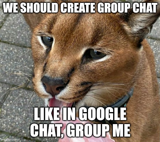 Pumber | WE SHOULD CREATE GROUP CHAT; LIKE IN GOOGLE CHAT, GROUP ME | image tagged in pumber | made w/ Imgflip meme maker