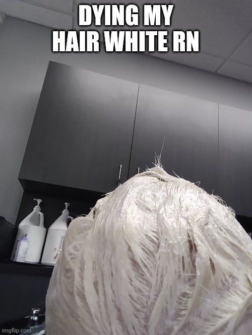 DYING MY HAIR WHITE RN | made w/ Imgflip meme maker