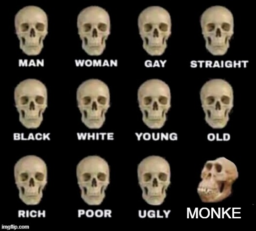 True | MONKE | image tagged in idiot skull | made w/ Imgflip meme maker