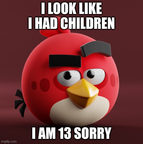 Amazingly Red | I LOOK LIKE I HAD CHILDREN; I AM 13 SORRY | image tagged in amazingly red | made w/ Imgflip meme maker