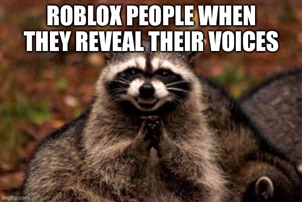 Evil Plotting Raccoon Meme | ROBLOX PEOPLE WHEN THEY REVEAL THEIR VOICES | image tagged in memes,evil plotting raccoon,raccoon,roblox | made w/ Imgflip meme maker