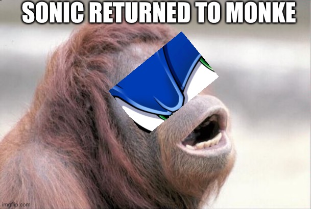 Monkey OOH | SONIC RETURNED TO MONKE | image tagged in memes,monkey ooh,sonic the hedgehog,monke | made w/ Imgflip meme maker