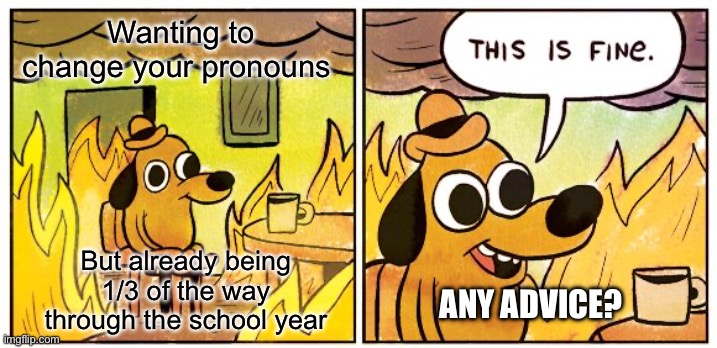 This Is Fine | Wanting to change your pronouns; But already being 1/3 of the way through the school year; ANY ADVICE? | image tagged in memes,this is fine | made w/ Imgflip meme maker