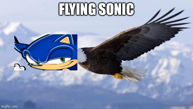 eagle | FLYING SONIC | image tagged in eagle,sonic the hedgehog | made w/ Imgflip meme maker