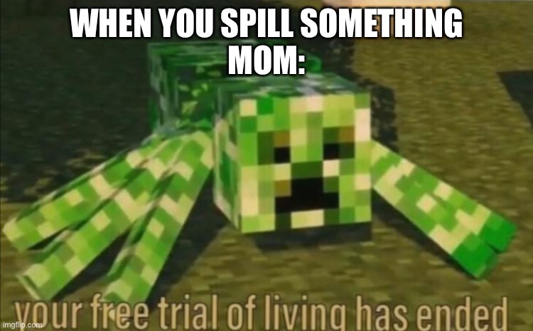 Your Free Trial of Living Has Ended | WHEN YOU SPILL SOMETHING
MOM: | image tagged in your free trial of living has ended,minecraft,creeper | made w/ Imgflip meme maker