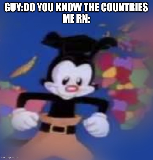 YAKKO | GUY:DO YOU KNOW THE COUNTRIES
ME RN: | image tagged in yakko,animaniacs,yakko's world | made w/ Imgflip meme maker