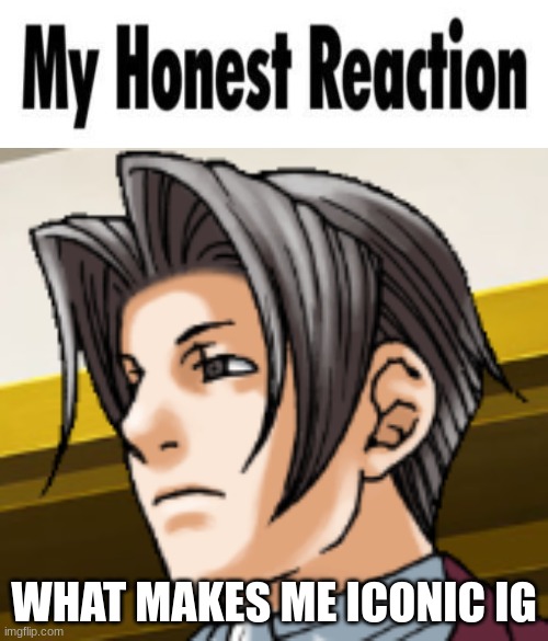 my honest reaction | WHAT MAKES ME ICONIC IG | image tagged in my honest reaction | made w/ Imgflip meme maker