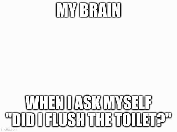 more truth | MY BRAIN; WHEN I ASK MYSELF "DID I FLUSH THE TOILET?" | image tagged in memes | made w/ Imgflip meme maker