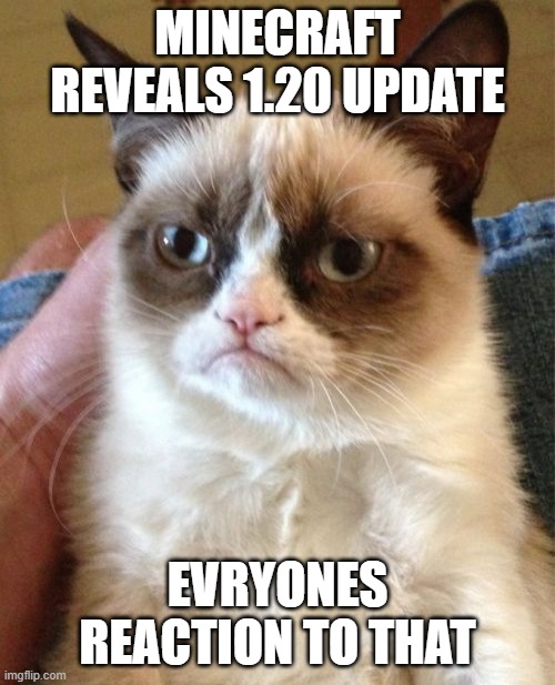 Grumpy Cat | MINECRAFT REVEALS 1.20 UPDATE; EVRYONES REACTION TO THAT | image tagged in memes,grumpy cat | made w/ Imgflip meme maker