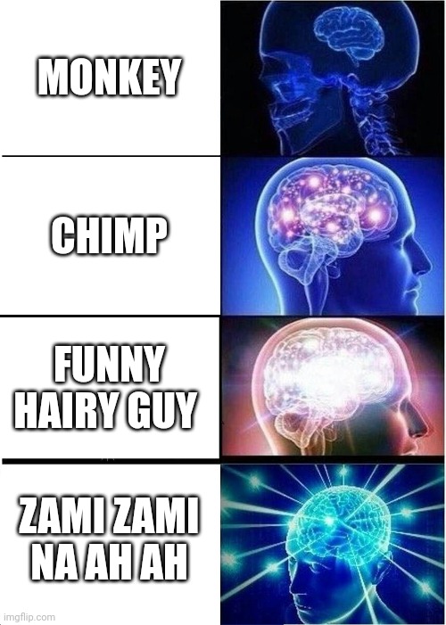 Expanding Brain Meme | MONKEY; CHIMP; FUNNY HAIRY GUY; ZAMI ZAMI NA AH AH | image tagged in memes,expanding brain | made w/ Imgflip meme maker