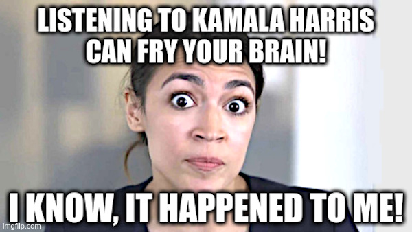 Listening to Kamala Harris | image tagged in aoc,kamala harris,brain,dead,democrats | made w/ Imgflip meme maker