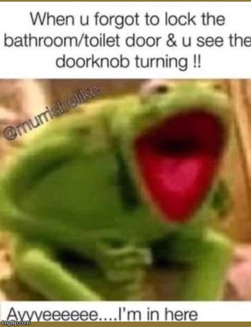 True | image tagged in memes | made w/ Imgflip meme maker