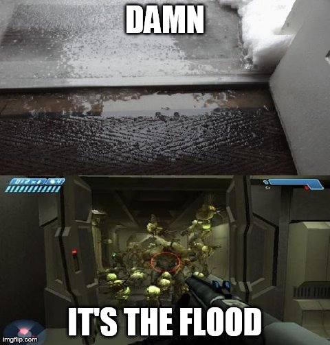 DAMN IT'S THE FLOOD | made w/ Imgflip meme maker