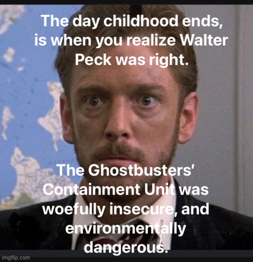 Ghostbusters | image tagged in childhood,1980s,ghostbusters,walter peck,80s | made w/ Imgflip meme maker