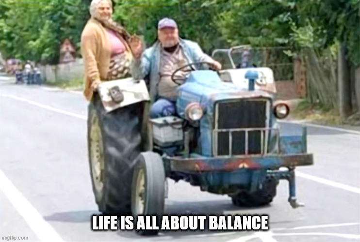 LIFE IS ALL ABOUT BALANCE | image tagged in durl earl | made w/ Imgflip meme maker