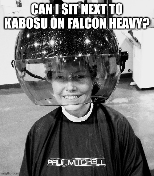 CAN I SIT NEXT TO KABOSU ON FALCON HEAVY? HTTPS://WWW.SPACEX.COM/VEHICLES/FALCON-HEAVY/ | made w/ Imgflip meme maker