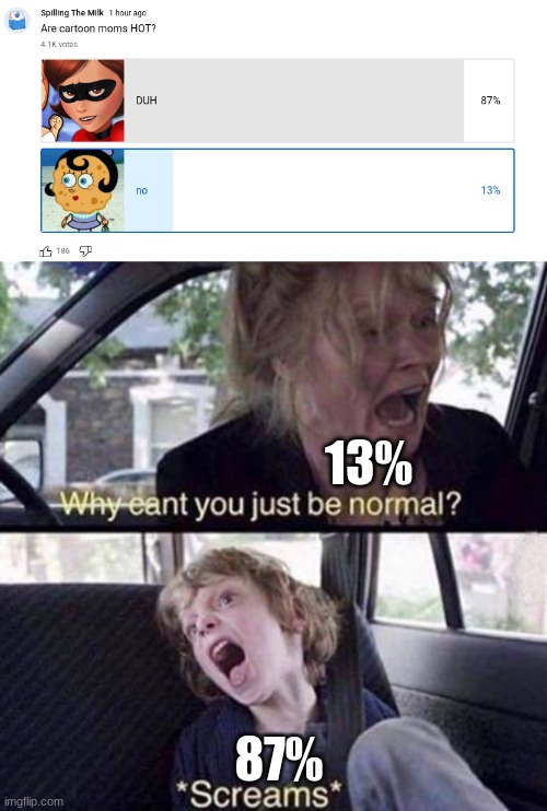 whats wrong with people | 13%; 87% | image tagged in why can't you just be normal | made w/ Imgflip meme maker