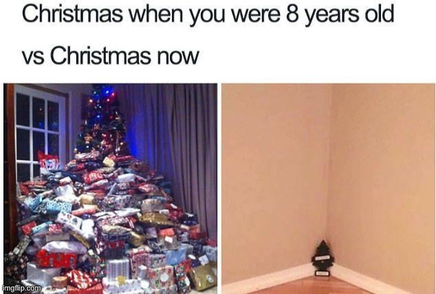 Too true | image tagged in memes,funny,christmas | made w/ Imgflip meme maker