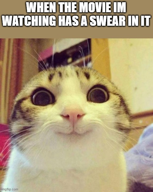 Smiling Cat Meme | WHEN THE MOVIE IM WATCHING HAS A SWEAR IN IT | image tagged in memes,smiling cat | made w/ Imgflip meme maker